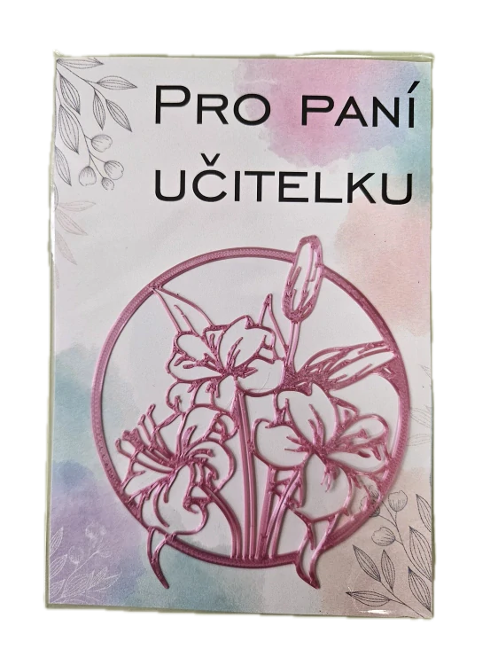 Pro učitele a učitelky