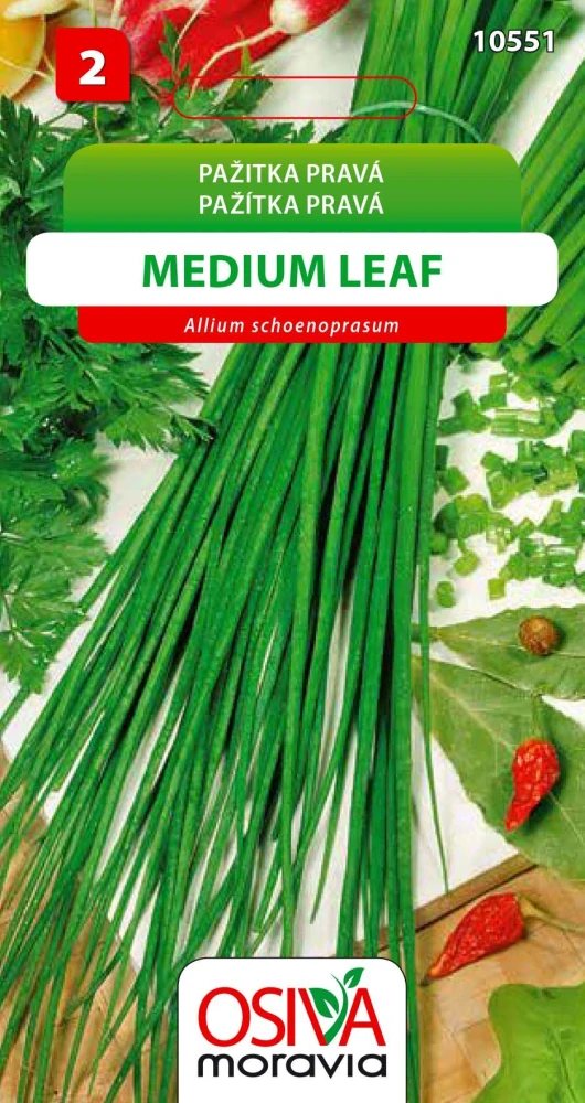 Osivo - Pažitka pravá - Medium Leaf