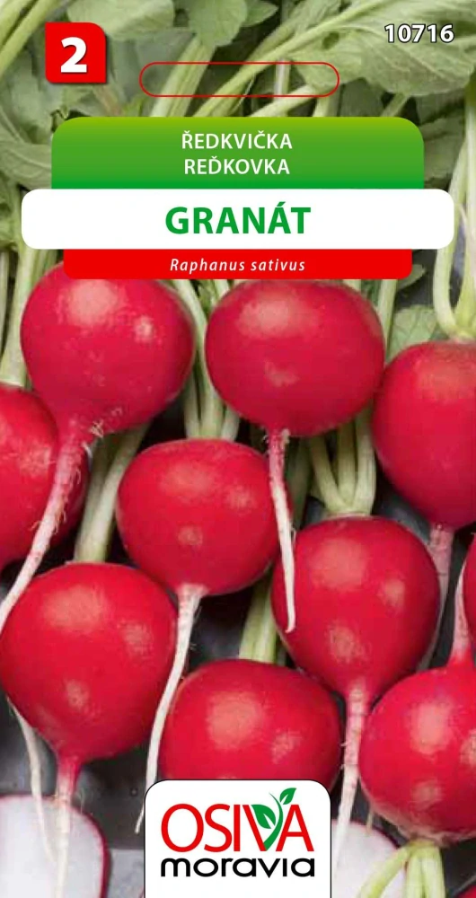 Osivo - Ředkvička - Granát