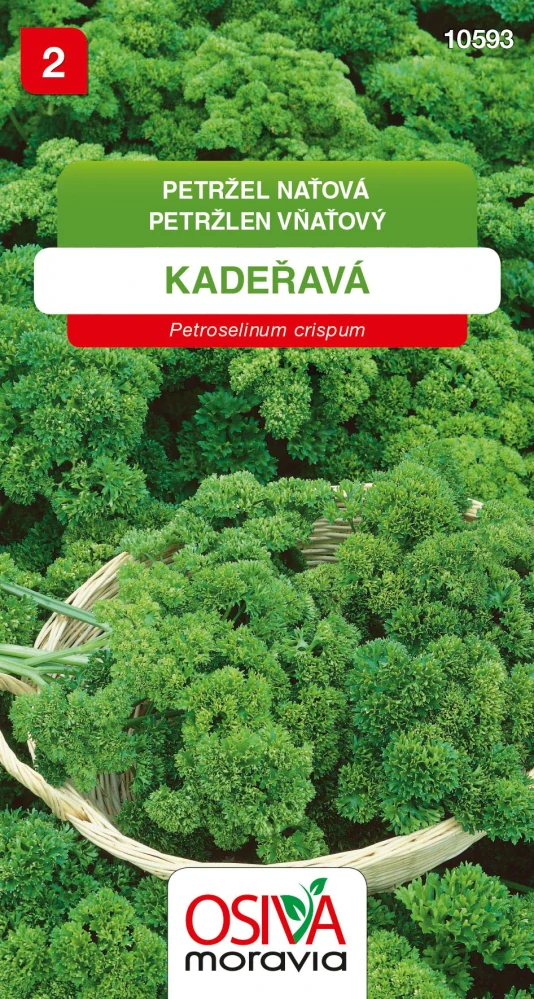 Osivo - Petržel naťová - Kadeřavá