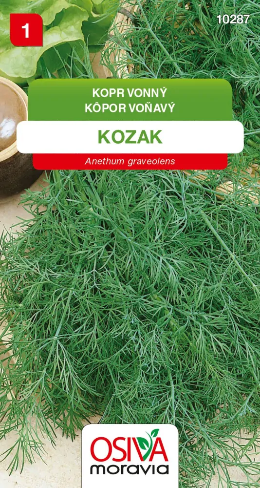 Osivo - Kopr vonný - Kozak