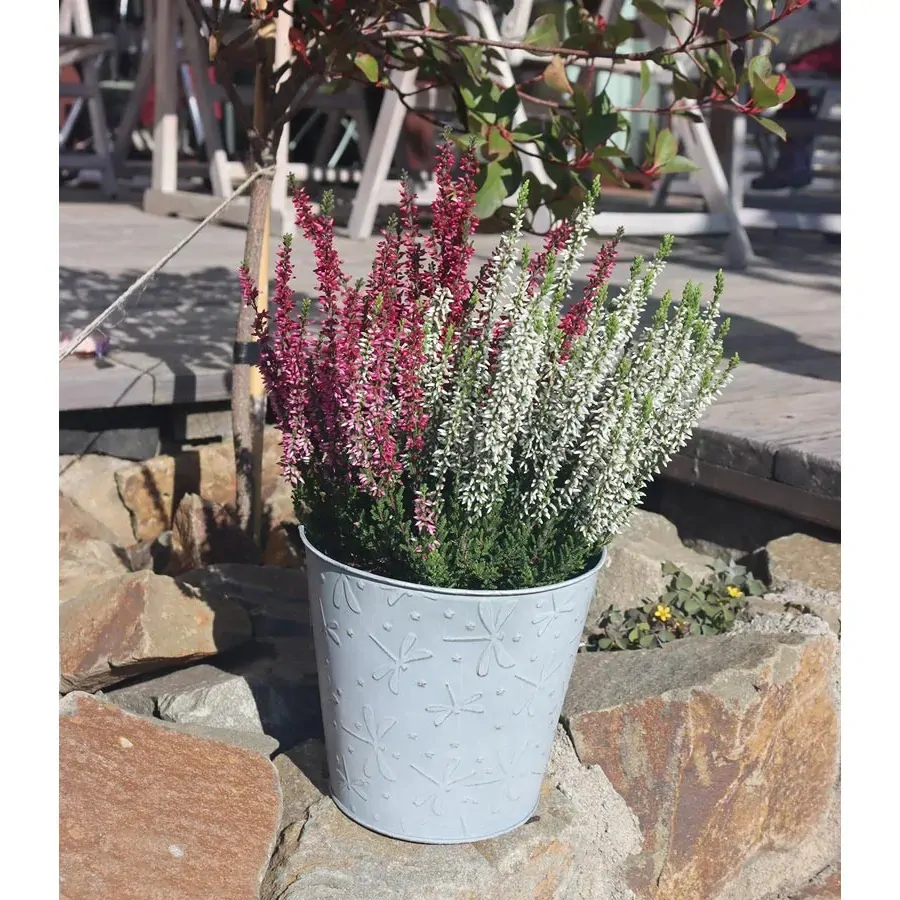 Plechový obal na květináč 16,5 x 15 cm - s motivem vážky