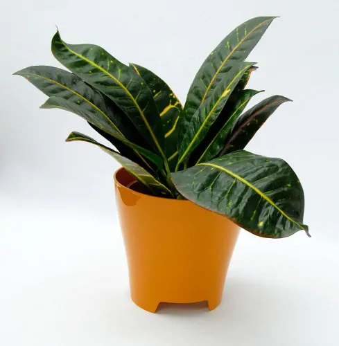 Plastový obal na květináč Luna průměr 14 cm - medový