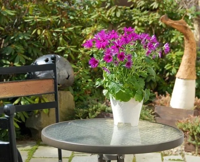 Plastový obal na květináč Luna průměr 14 cm - slonová kost