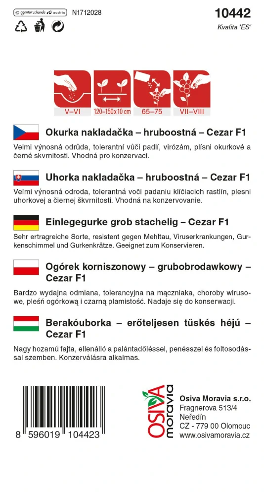 Osivo - Okurka nakladačka - Cezar F1