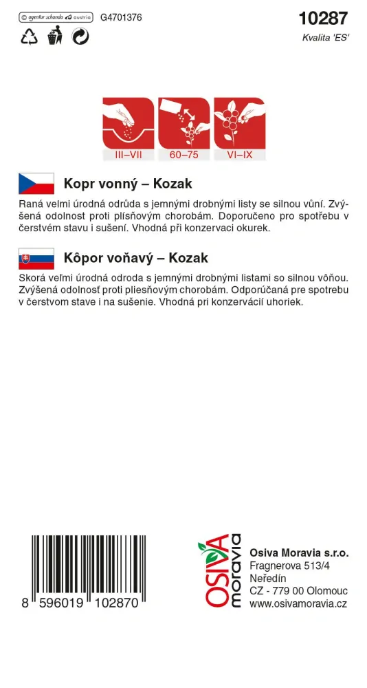 Osivo - Kopr vonný - Kozak