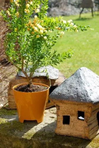Plastový obal na květináč Luna průměr 14 cm - medový