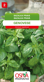 Osivo - Bazalka pravá - Genovese