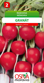 Osivo - Ředkvička - Granát