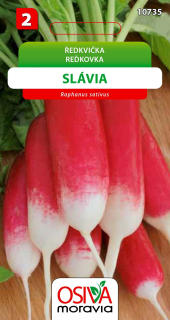 Osivo - Ředkvička - Slávia