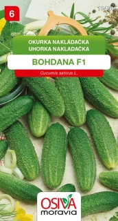 Osivo - Okurka nakladačka - Bohdana F1
