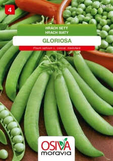 Osivo - Hrách zahradní - GLORIOSA