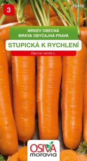 Osivo - Mrkev - Stupická k rychlení