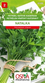 Osivo - Petržel naťová hladká kadeřavá - NATALKA