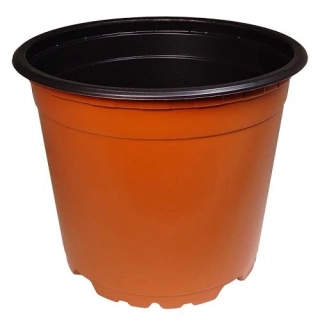 Květináč 10 cm